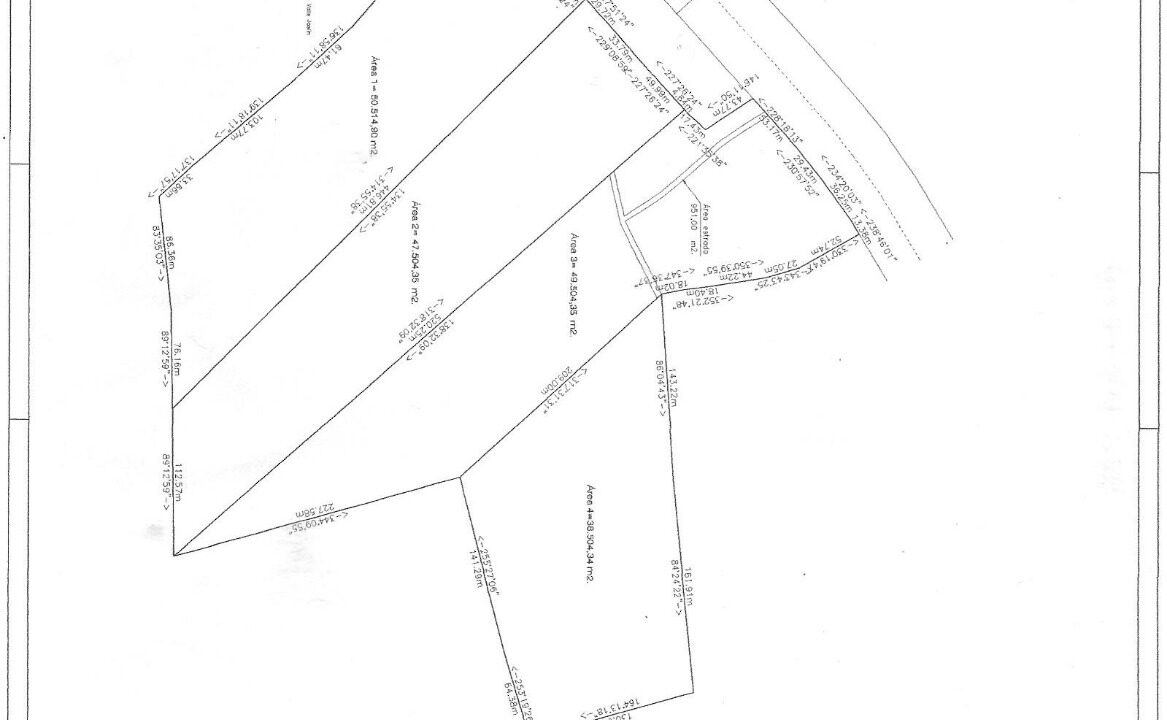 WhatsApp Image 2025-06-12 at 14.35.54