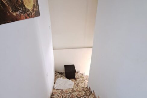 WhatsApp Image 2026-02-12 at 14.14.32