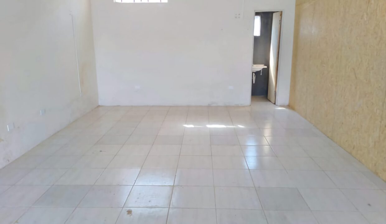 WhatsApp Image 2026-02-12 at 16.23.08