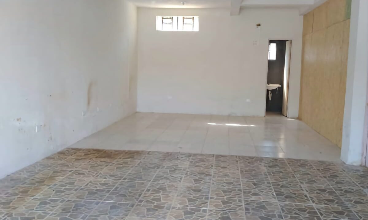 WhatsApp Image 2026-02-12 at 16.23.09 (6)