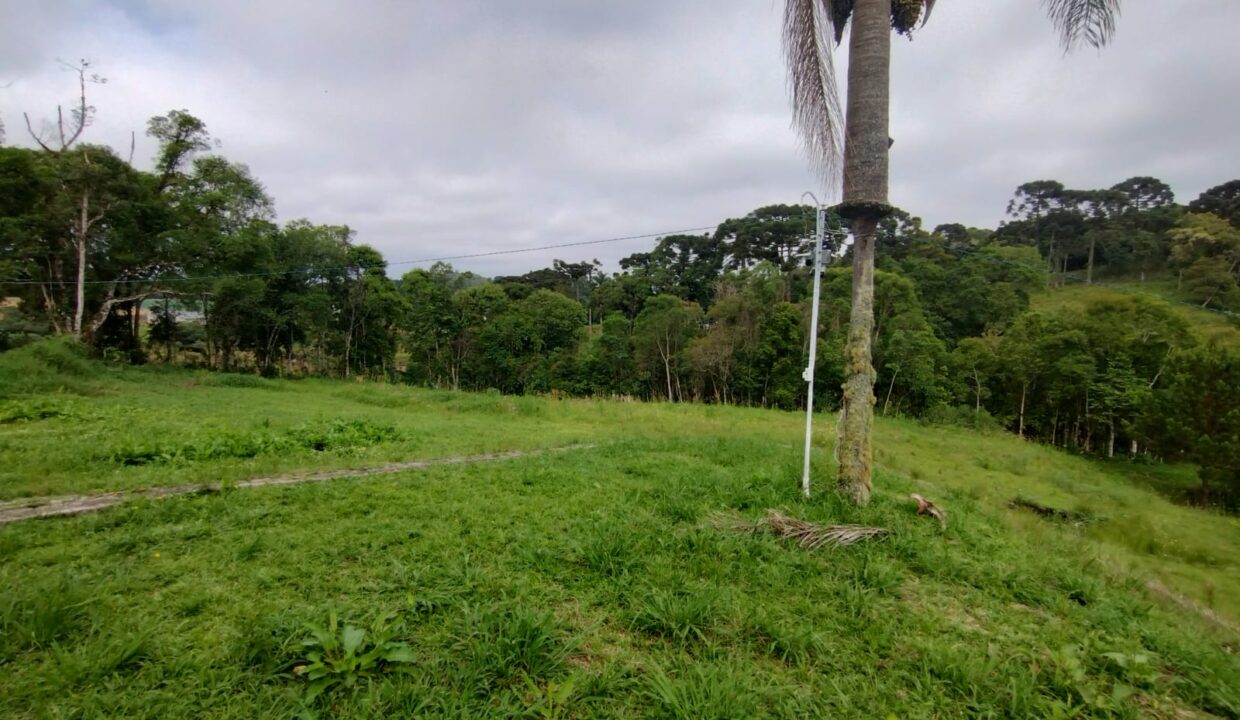 WhatsApp Image 2025-12-02 at 16.26.01 (3) - Copia